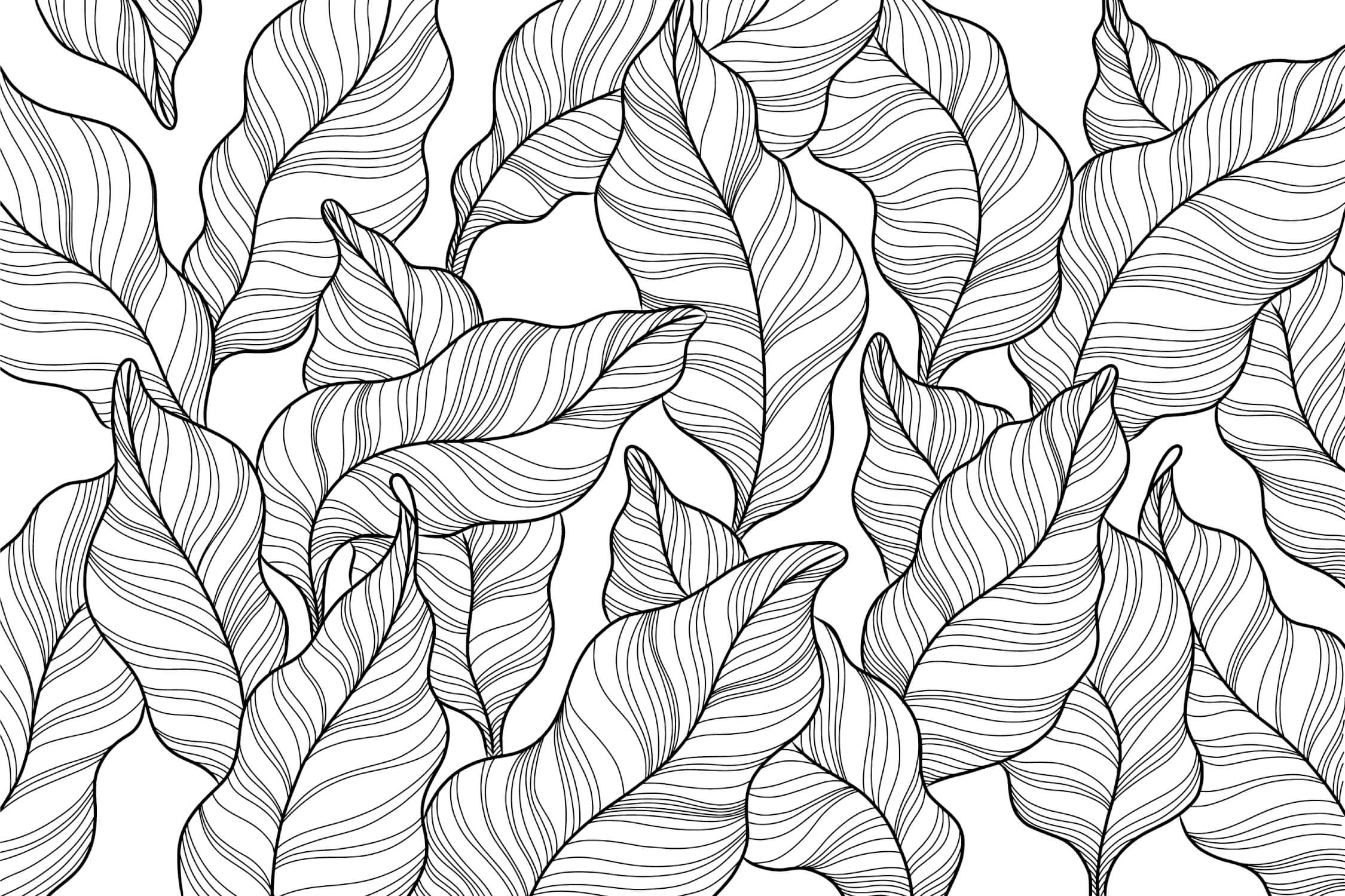 Papier Peint Noir Et Blanc Salle De Bain