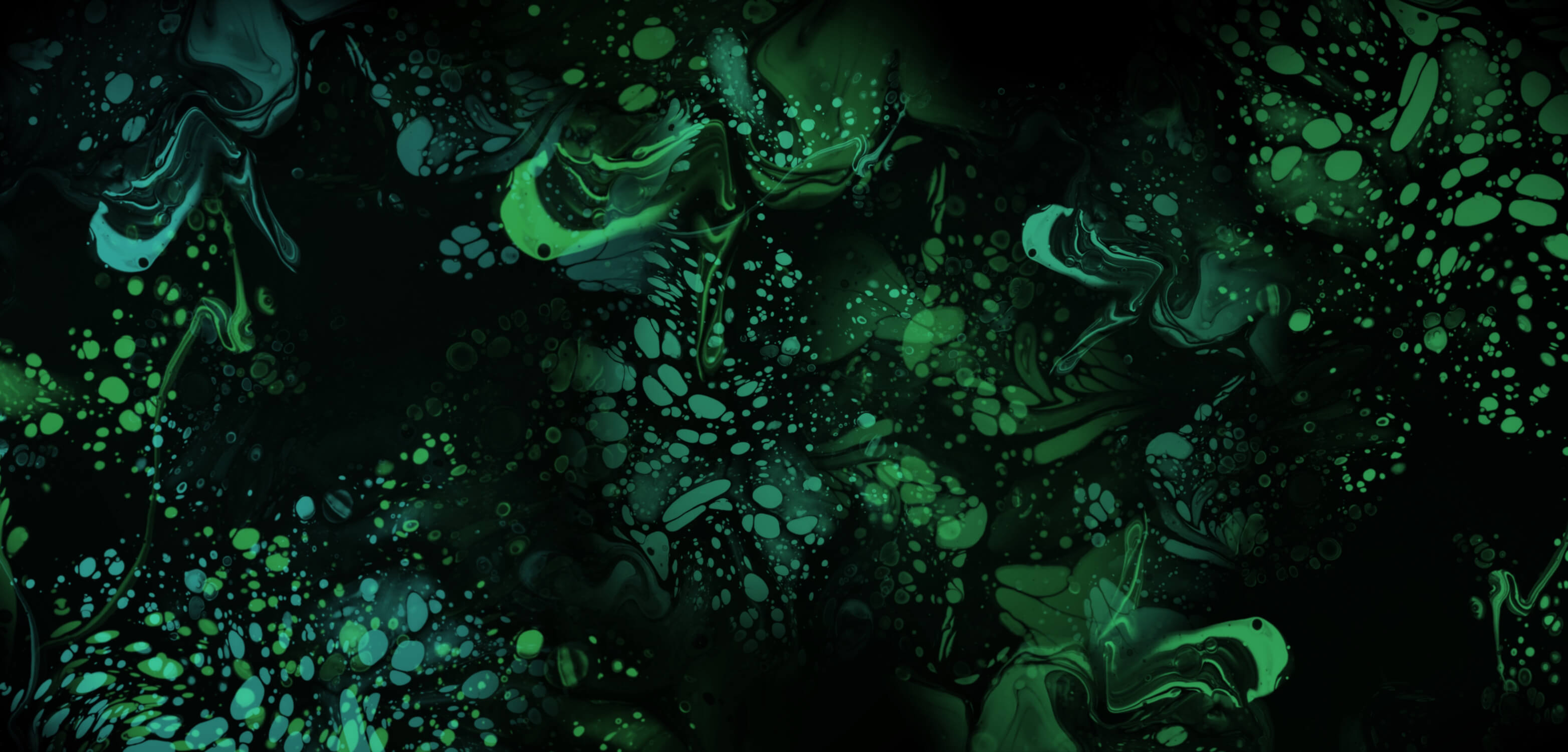 Papier Peint Vert Émeraude