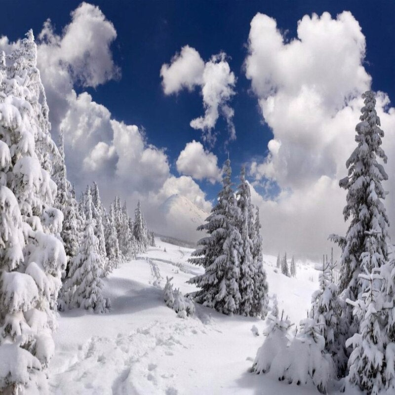 Custom Photo Wallpaper Winter Snow Landscape Forest Wall