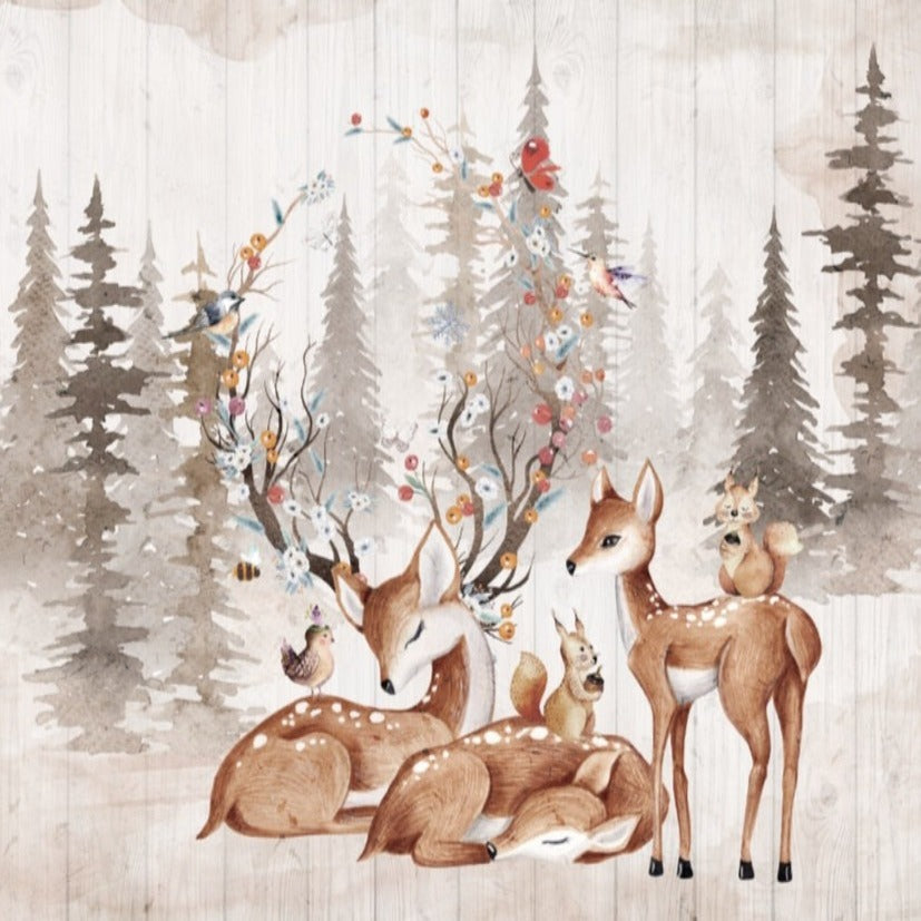 Sfondi animali <br/> Foresta e cervo reale