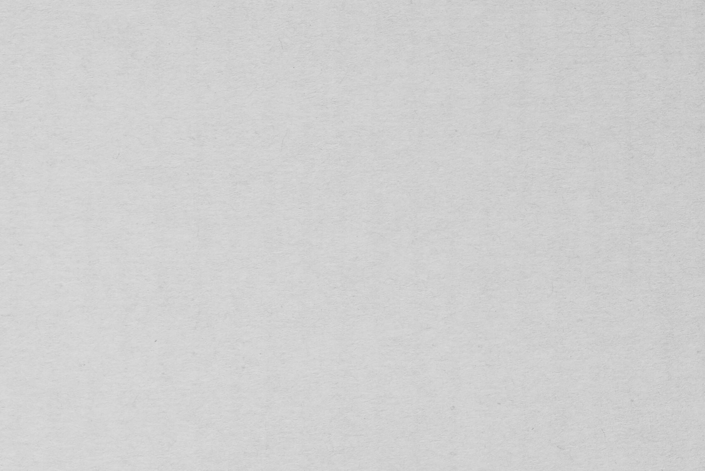 Papier Peint Gris Clair Uni