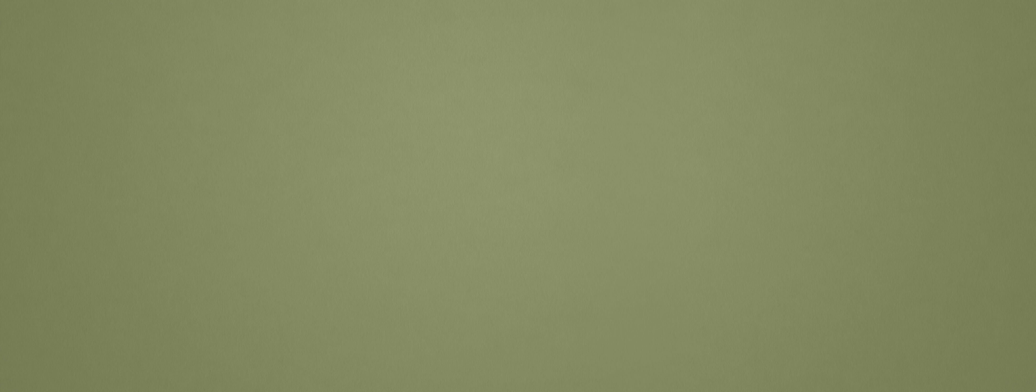 Papier Peint Vert Kaki