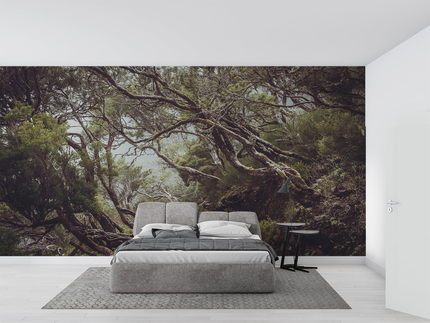 Papier Peint Petite Foret