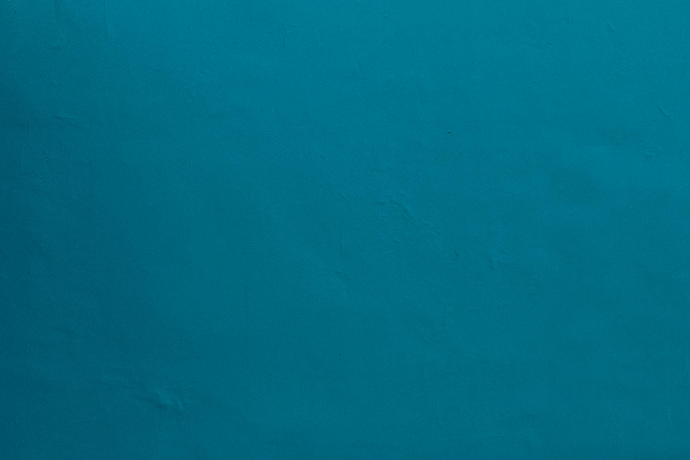 Sfondo blu di anatra unita