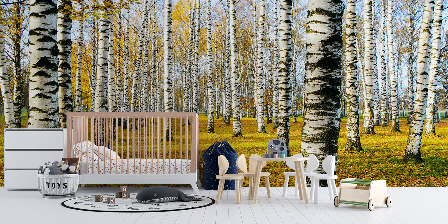 Papier Peint Trompe L’Oeil Foret