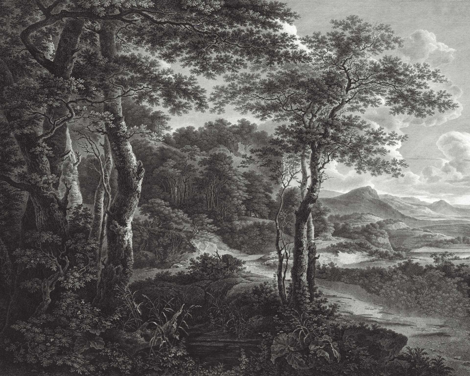 Carta da parati affresco in bianco e nero