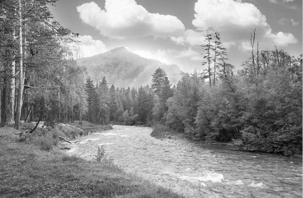 Carta da parati panoramica in bianco e nero