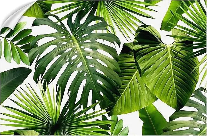 Green Foliage Wallpaper White Background