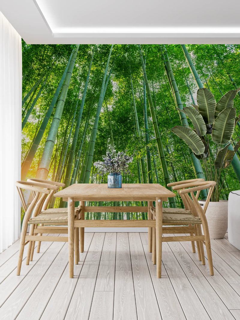 Papier Peint Forêt De Bambou Zen - trompe l'oeil