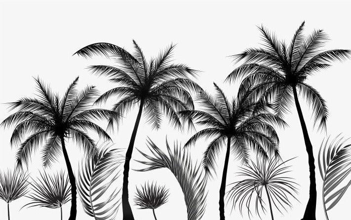 Panoramic Black and White Trees Wallpaper