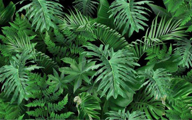 Custom jungle wallpaper